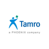 BI DEVELOPER / ANALYST