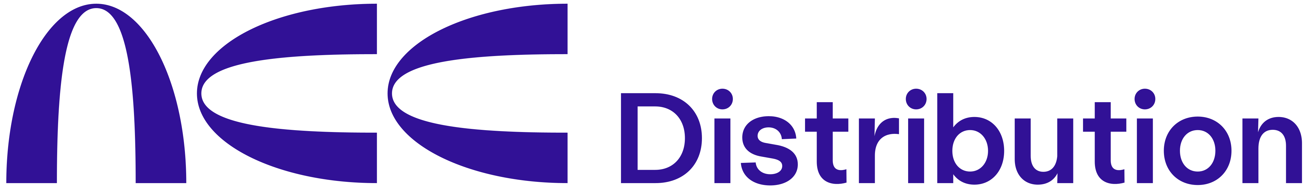 ERP DIEGIMO PROJEKTO VADOVAS (-Ė)