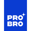 Projektų vadovas